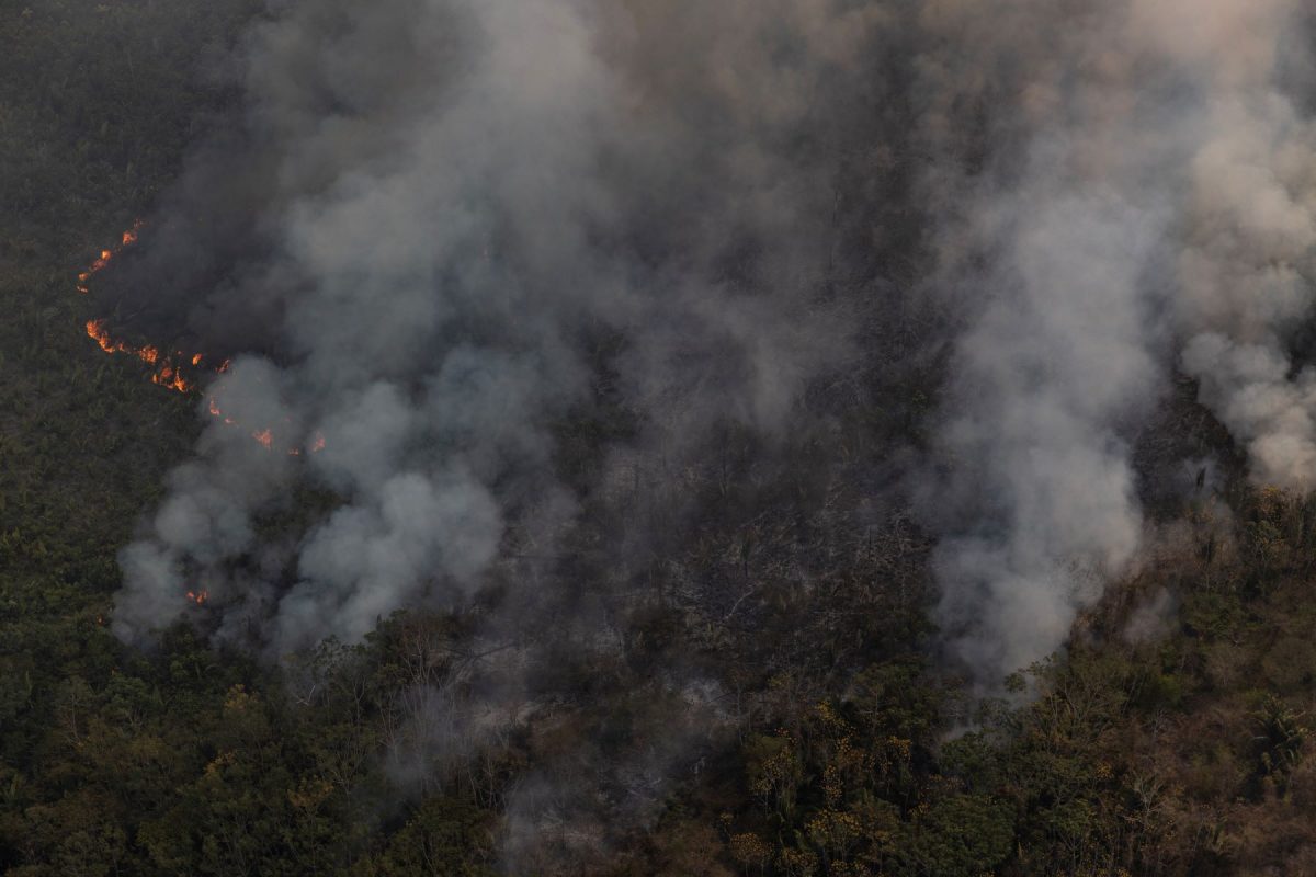Incêndio florestal na Amazônia: fogo disparou em florestas públicas e avançou em terras indígenas e áreas privadas (Foto: Marizilda Cruppe / Greenpeace - 01/08/2024)