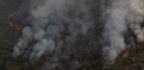 Incêndio florestal na Amazônia: fogo disparou em florestas públicas e avançou em terras indígenas e áreas privadas (Foto: Marizilda Cruppe / Greenpeace - 01/08/2024)