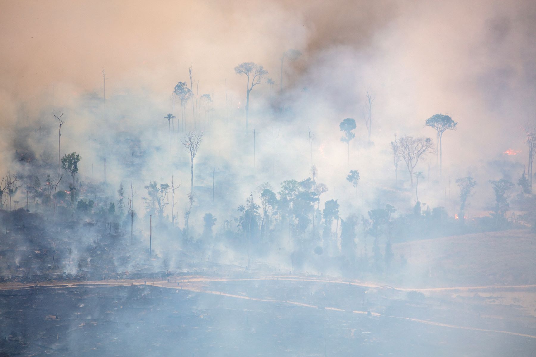 Fumaça das queimadas cobre a Floresta Amazônica na divisa entre Amazonas e Rondônia: seca extrema e escassez hídrica nos rios Madeira e Purus (Foto: Marizilda Cruppe / Greenpeace)