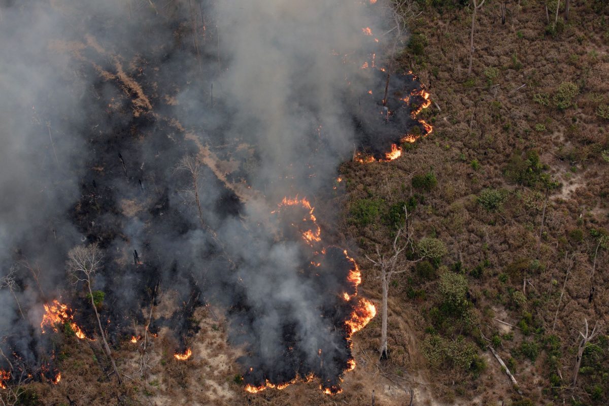 Queimada entre o sudoeste do Amazonas e o norte de Rondônia: Amazônia teve 11.434 focos de calor em julho de 2024, aumento de 98% em relação ao mesmo mês no ano passado (Foto: Marizilda Cruppe / Greenpeace)
