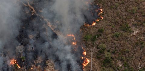 Queimada entre o sudoeste do Amazonas e o norte de Rondônia: Amazônia teve 11.434 focos de calor em julho de 2024, aumento de 98% em relação ao mesmo mês no ano passado (Foto: Marizilda Cruppe / Greenpeace)