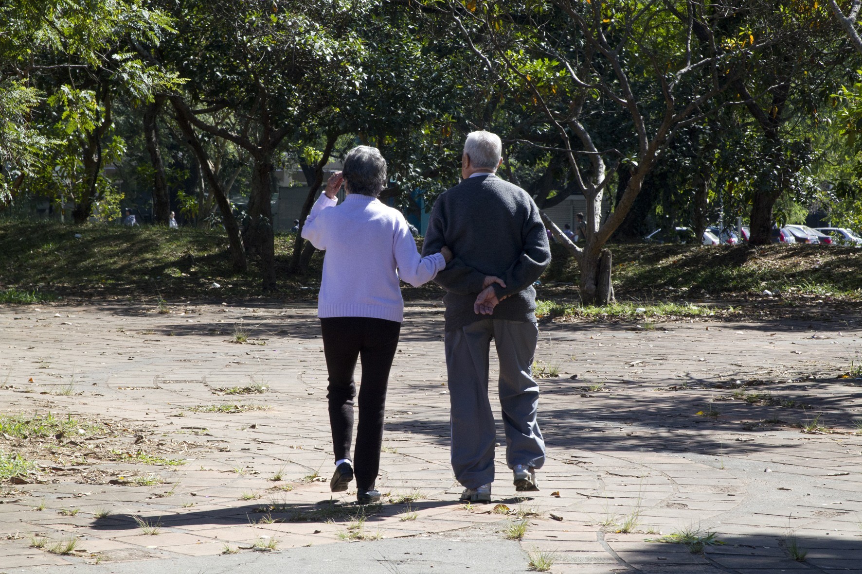 Casal de idosos passeia na Praça do Relógio, na USP: População com mais de 60 anos vai decuplicar no Brasil, passando dos 4% registrados em 1950 para 40% em 2100 (Marcos Santos / USP Imagens)