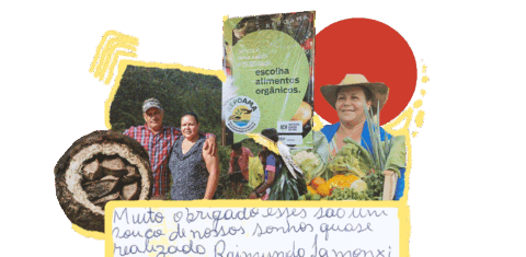 Indígenas e agricultores familiares unidos na resistência ao avanço da soja na Amazônia (Arte: Júlia Beatriz)