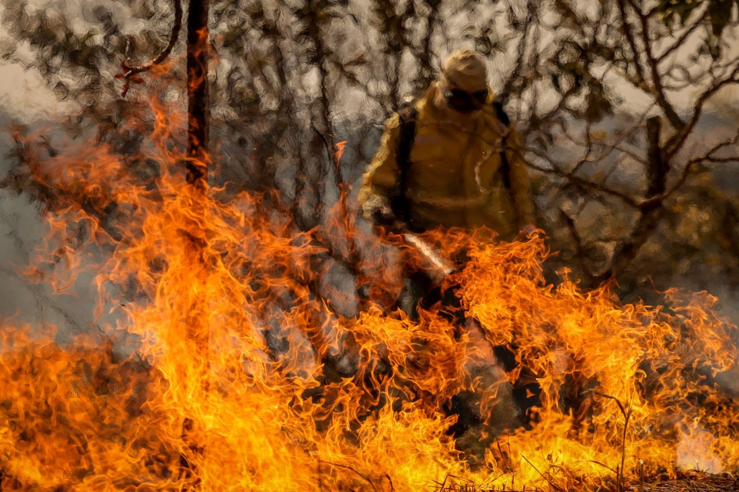 Brigadista combate incêndio em área de cerrado no Distrito Federal: Brasil teve maior número de queimadas para o mês de agosto desde 2010 (Foto: Marcelo Camargo / Agência Brasil - 24/08/2024)