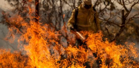 Brigadista combate incêndio em área de cerrado no Distrito Federal: Brasil teve maior número de queimadas para o mês de agosto desde 2010 (Foto: Marcelo Camargo / Agência Brasil - 24/08/2024)