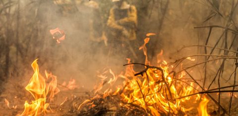Brigadistas combatem incêndio no Pantanal brasileira: missão na Bolívia para evitar que fogo atravesse a fronteira (Foto: Marcelo Camargo / Agência Brasil - 30/06/2024)