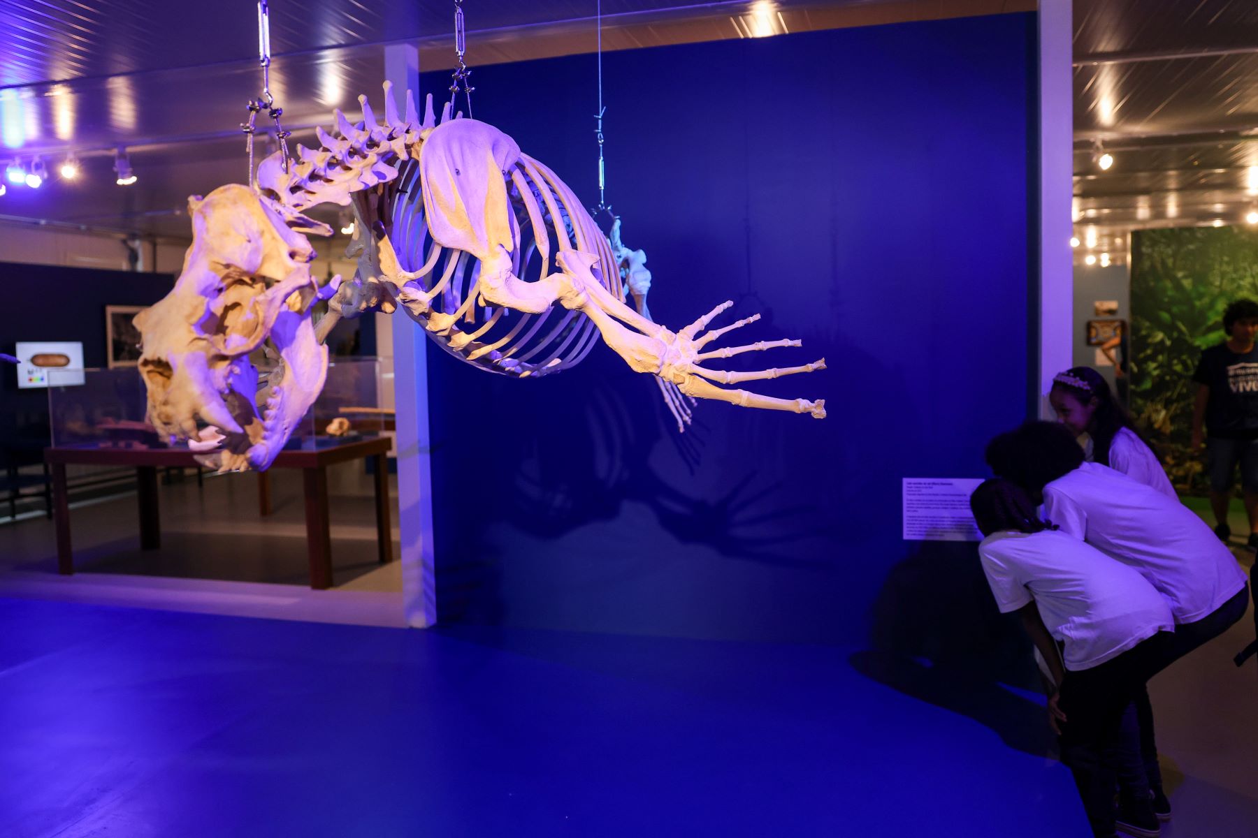 Estudantes na abertura da Estação Museu Nacional: espaço permanente, vizinho à sede na Quinta da Boa Vista, para contato de alunos com o acervo da instituição (Foto: Tomaz Silva / Agência Brasil - 29/08/2024)