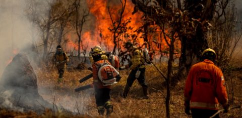 Brigadistas e bombeiros combatem incêndio em área de Cerrado no Distrito Federal: bioma tem mais queimadas do que a Amazônia ( Foto: Marcelo Camargo / Agência Brasil - 24/08/2024)