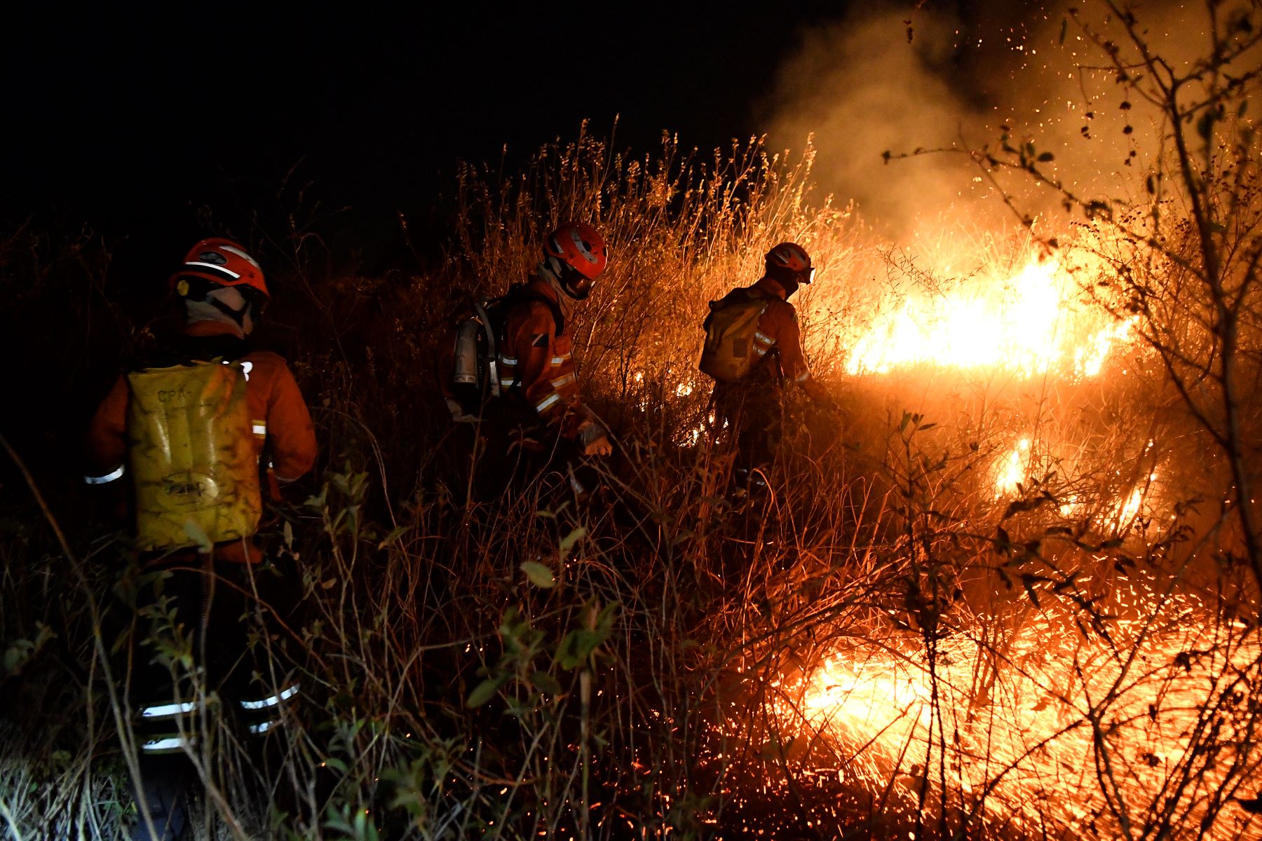 Bombeiros de Mato Grosso do Sul combatem incêndio no Pantanal: entre janeiro e agosto de 2024, a área queimada no bioma aumentou 249% em relação à média dos cinco anos anteriores (Foto: Bruno Rezende / GovMS - 21/06/2024)