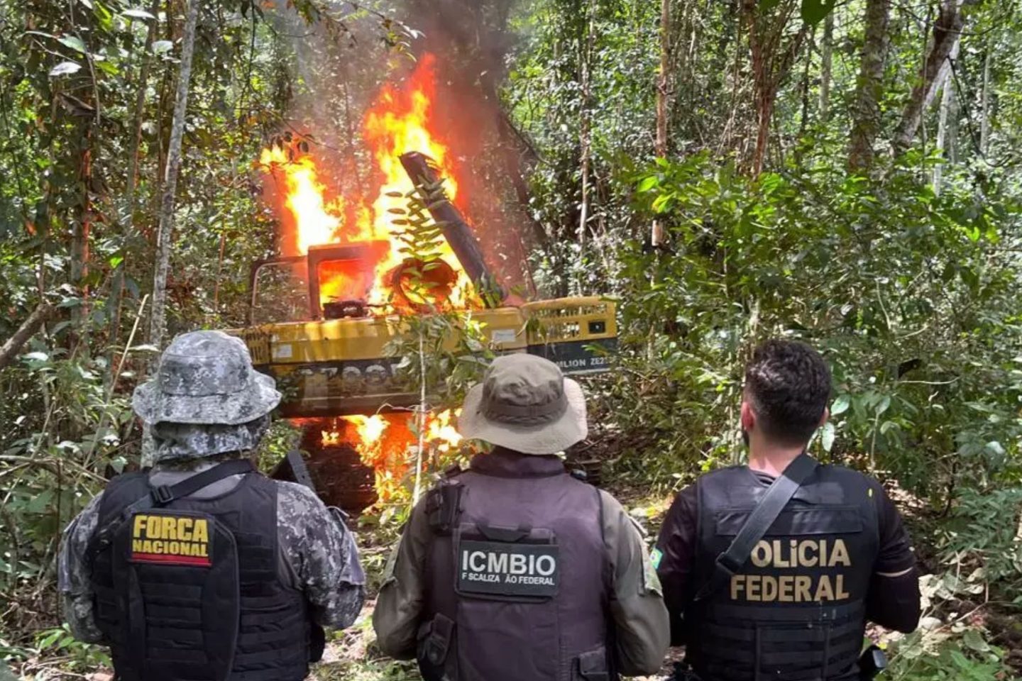 Operação desmonta garimpo ilegal no Pará: produção de ouro dos garimpos caiu 84% após medidas de controle (Foto: Polícia Federal / Divulgação - 15/06/5/2024)