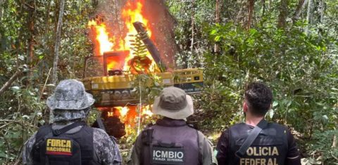 Operação desmonta garimpo ilegal no Pará: produção de ouro dos garimpos caiu 84% após medidas de controle (Foto: Polícia Federal / Divulgação - 15/06/5/2024)