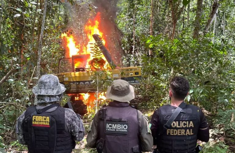 Operação desmonta garimpo ilegal no Pará: produção de ouro dos garimpos caiu 84% após medidas de controle (Foto: Polícia Federal / Divulgação - 15/06/5/2024)