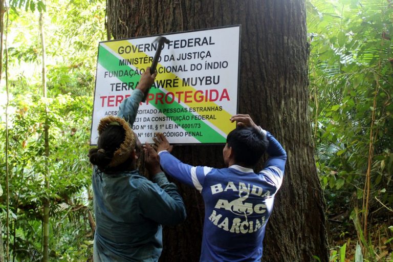 Indígenas Munduruku fazem ação de autodemarcação em seu território no Pará: reconhecimento pelo Ministério da Justiça após 17 anos de luta (Foto: Bárbara Dias / Cimi - 31/07/2018)