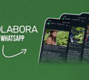 Receba as notícias do #Colabora no seu WhatsApp; saiba mais