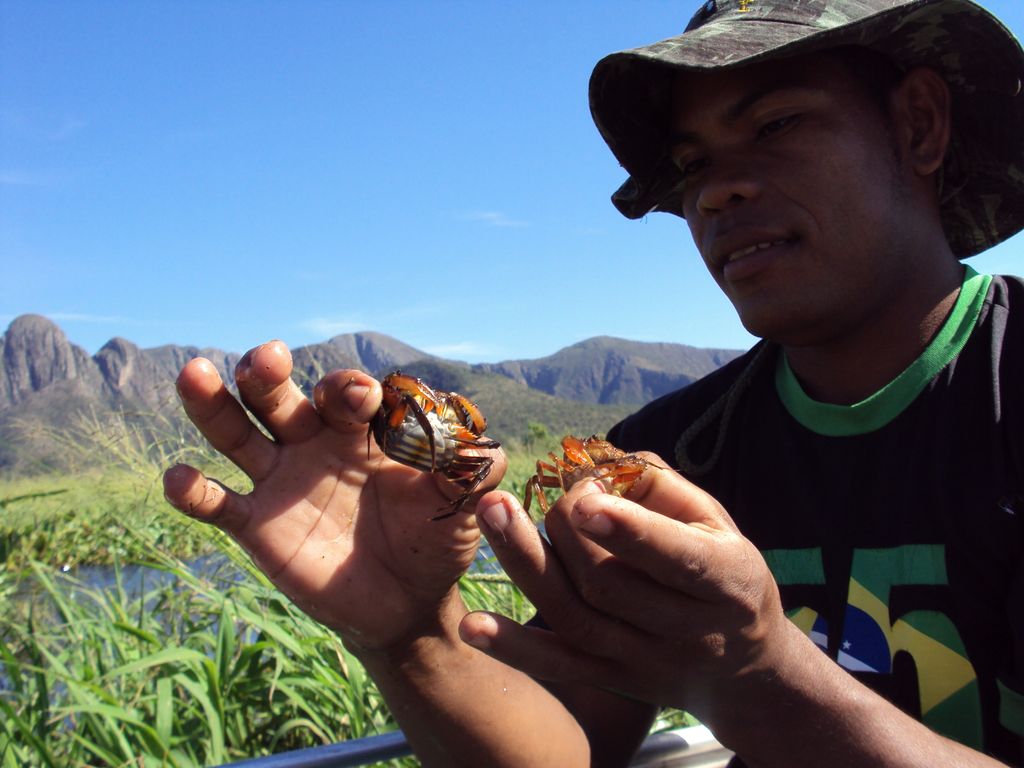 Moradores de comunidades tradicionais pantaneiras durante a coleta de iscas na Serra do Amolar. Foto Ecoa