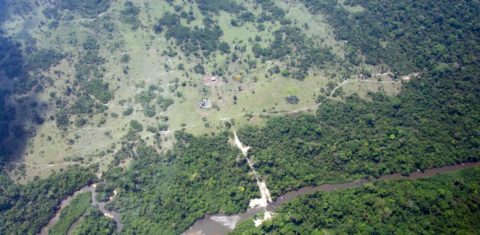 Desmatamento em área de proteção ambiental em São Félix do Xingu (PA): prefeito eleito Fabrício Batista já foi autuado por desmatar e multado em mais de R$ 2,2 milhões (Foto: Juan Doblas / ISA)