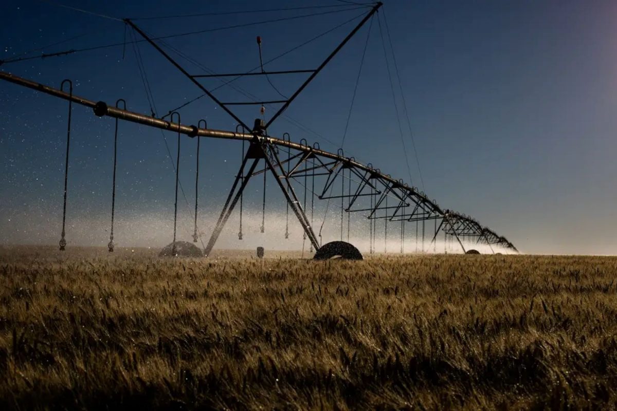 Cultura de soja irrigada em área do Cerrado: estudo aponta que uso excessivo de água no Matopiba pode comprometer até 40% da capacidade futura de expansão da irrigação (Foto: Valter Campanato / Agência Brasil)