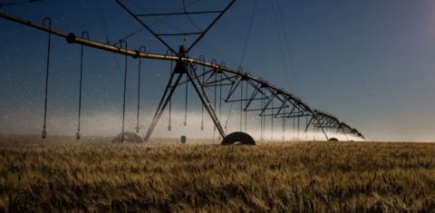 Cultura de soja irrigada em área do Cerrado: estudo aponta que uso excessivo de água no Matopiba pode comprometer até 40% da capacidade futura de expansão da irrigação (Foto: Valter Campanato / Agência Brasil)