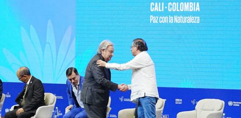 O secretário-geral da ONU, Antonio Guterres, e o presidente da Colômbia, Gustavo Petro, na COP16 da Biodiversidade: lideranças ambientalistas e de outros setores querem integração das agendas de clima, proteção da natureza e alimentos (Foto: Juancho Torres / Anadolu via AFP)