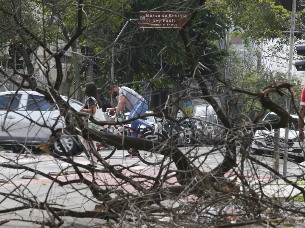 Árvores caídas no Bom Retiro: prefeito Ricardo Nunes não consegue dar conta de serviço básico de poda. Foto Paulo Pinto/Agência Brasil