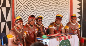 Xingu sob pressão de desmatadores e madeireiros