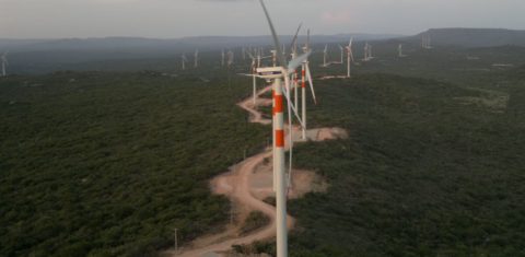 Usina eólica no interior da Bahia: Brasil cai em ranking de ação climática apesar de avanços em energia renovável (Foto: Divulgação)