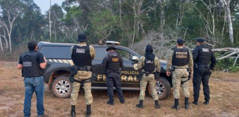 Operação da Polícia Federal em Rondônia: redução do desmatamento na Amazônia foi de 45% em dois anos (Foto: Polícia Federal)