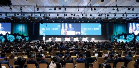 Mukhtar Babayev, presidente da COP29, discursa na plenária inicial em Baku: aprovação polêmica de regras para mercado de carbono (Foto: - Kamran Guliyev)