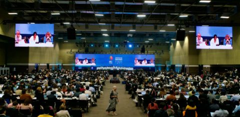 A plenária final da COP16 da Biodiversidade: impasse sobre financiamento (Foto: COP16 / Divulgação)