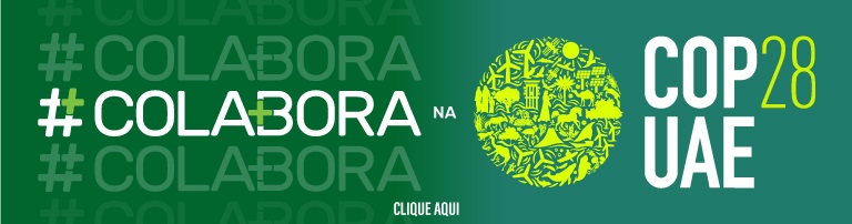 O Katacoquinho esta querendo atenção pessoal, depois de proporcionar o  maior papelão nessas eleições. O Lula e o Bolsonaro são a mesma coisa sim  confia. : r/brasilivre