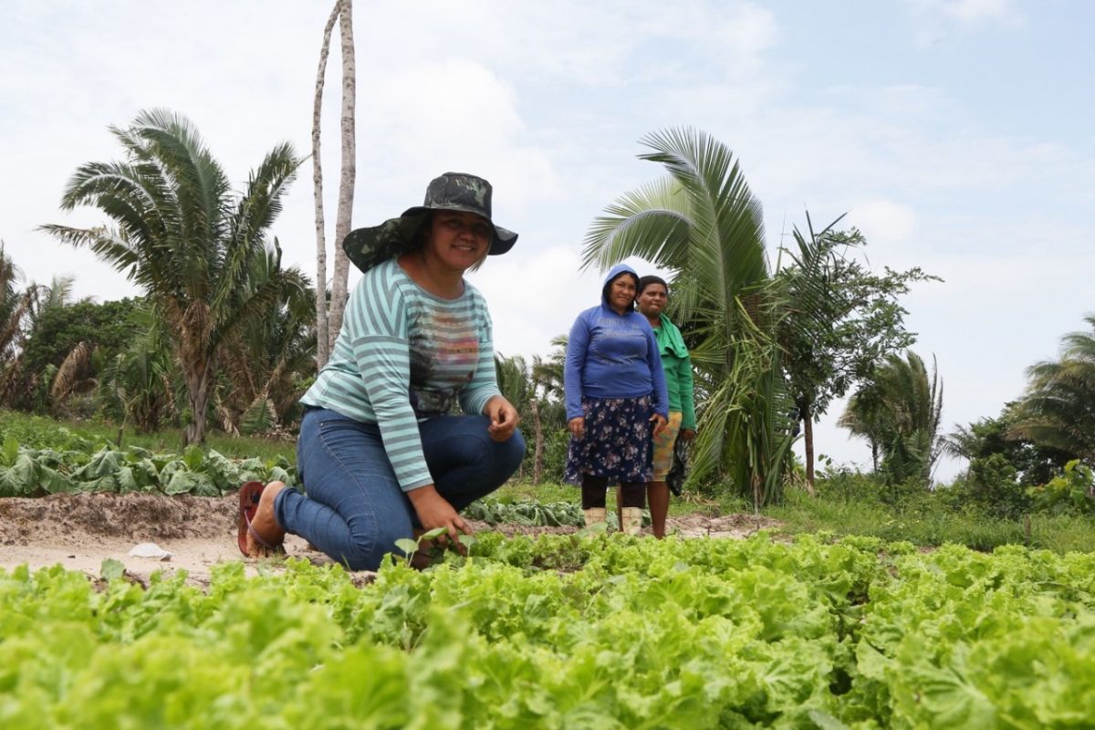 Agricultoras em quintal produtivo no Maranhão: mulheres sofrem com falta de financiamento para agricultura familiar (Foto: Governo do Maranhão)