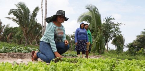 Agricultoras em quintal produtivo no Maranhão: mulheres sofrem com falta de financiamento para agricultura familiar (Foto: Governo do Maranhão)