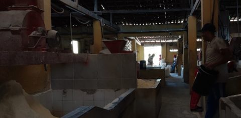 Casa de Farinha no interior de Pernambuco: inspeção do MPT em fábricas constatou "instalações elétricas irregulares; máquinas sem proteção contra acidentes; ausência de equipamento de proteção individual (EPI); condições sanitárias precárias; inexistência de local para refeições em condições adequadas" (Foto: Lucas Bezerra)