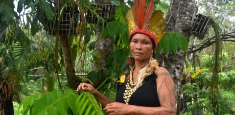 A cacica Lutana Kokama, que lidera 700 famílias no Parque das Tribos, em Manaus: “ser cacique geral é ser mãe de todos os povos” (Foto: Isabela Martel / UNFPA Brasil)