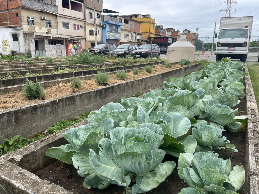 Maior horta comunitária urbana da América Latina, plantação em Manguinhos, na Zona Norte do Rio, é exemplo de projeto agroecológico (Foto: Divulgação)