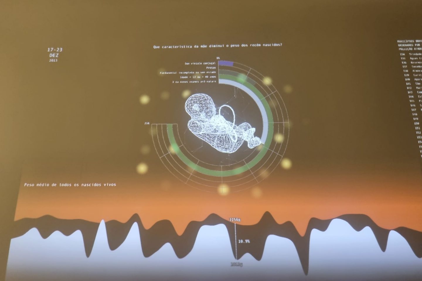 'Gestagrama' com dados sobre os nascimentos nos mais municípios e dados de poluição na exposição: arte usando dados como matéria-prima (Foto: Oscar Valporto)