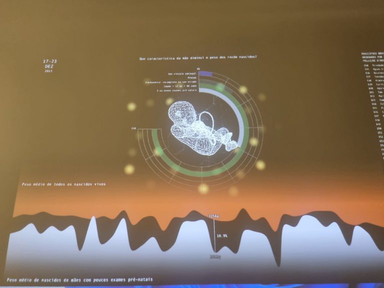 'Gestagrama' com dados sobre os nascimentos nos mais municípios e dados de poluição na exposição: arte usando dados como matéria-prima (Foto: Oscar Valporto)