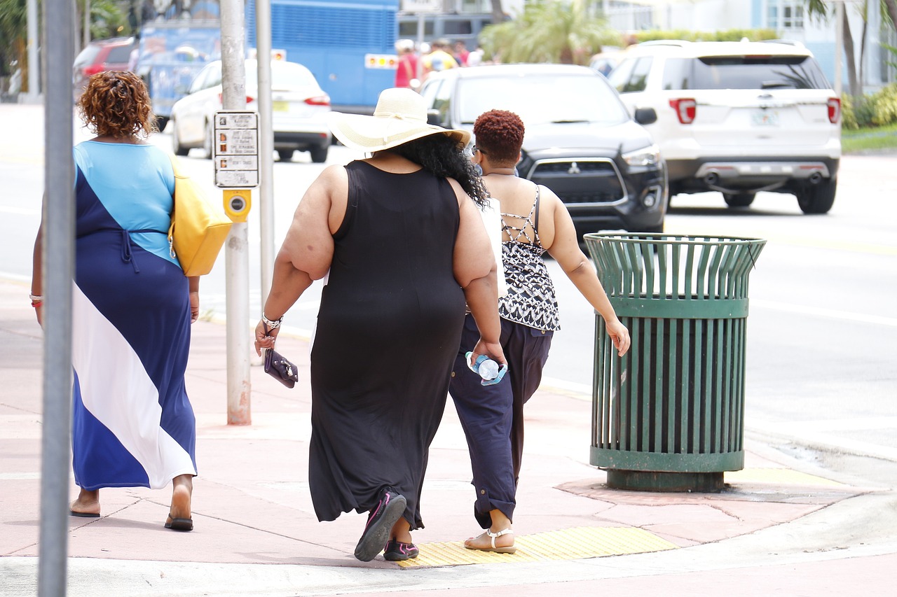 Excesso de peso em alta: para nutricionista, obesidade é complexa e multifacetada e drogas como Ozempic podem aumentar gordofobia na sociedade (Foto: Tania Dias via Pixabay) 