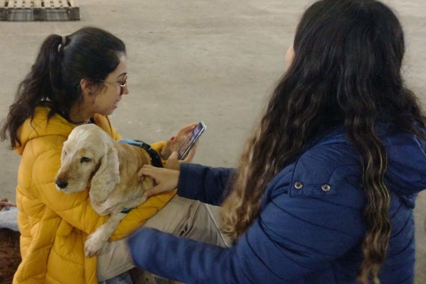 Voluntárias com cachorro resgatado em abrigo de Santa Maria: publicações em redes sociais em busca dos donos, tutores temporários ou de novos lares para os pets (Foto: Micael Olegário)