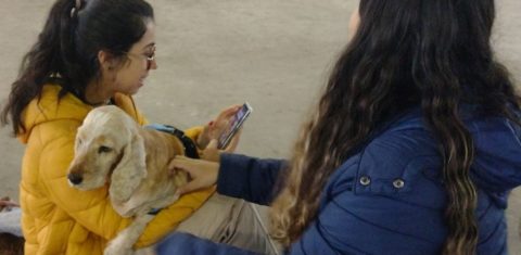 Voluntárias com cachorro resgatado em abrigo de Santa Maria: publicações em redes sociais em busca dos donos, tutores temporários ou de novos lares para os pets (Foto: Micael Olegário)
