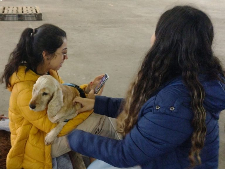 Voluntárias com cachorro resgatado em abrigo de Santa Maria: publicações em redes sociais em busca dos donos, tutores temporários ou de novos lares para os pets (Foto: Micael Olegário)