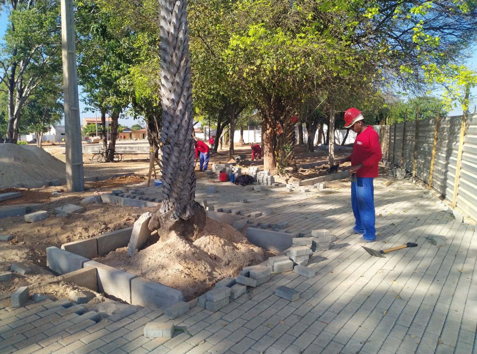 Plantação de árvores em área de Teresina onde lixão virou parque: iniciativas para minimizar o calor na capital do Piauí (Foto: PMT - 13/09/2023)