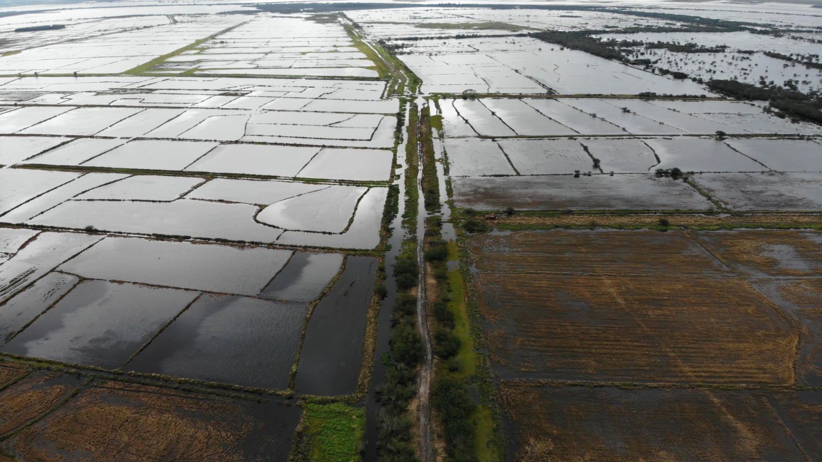 Lavoura de arroz de assentamento do MST alagada: modelo agroecológico como alternativa à monocultura que vem provocando desmatamento dos biomas e assoreamento dos rios (Foto: Divulgação / MST)