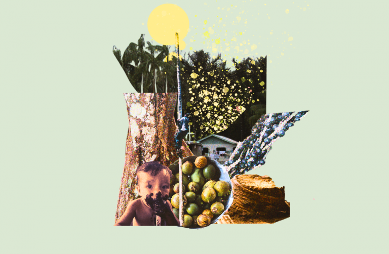 As diferentes faces da Amazônia retratadas nas histórias das frutas de comunidades ribeirinhas (Arte: Júlia Beatriz)