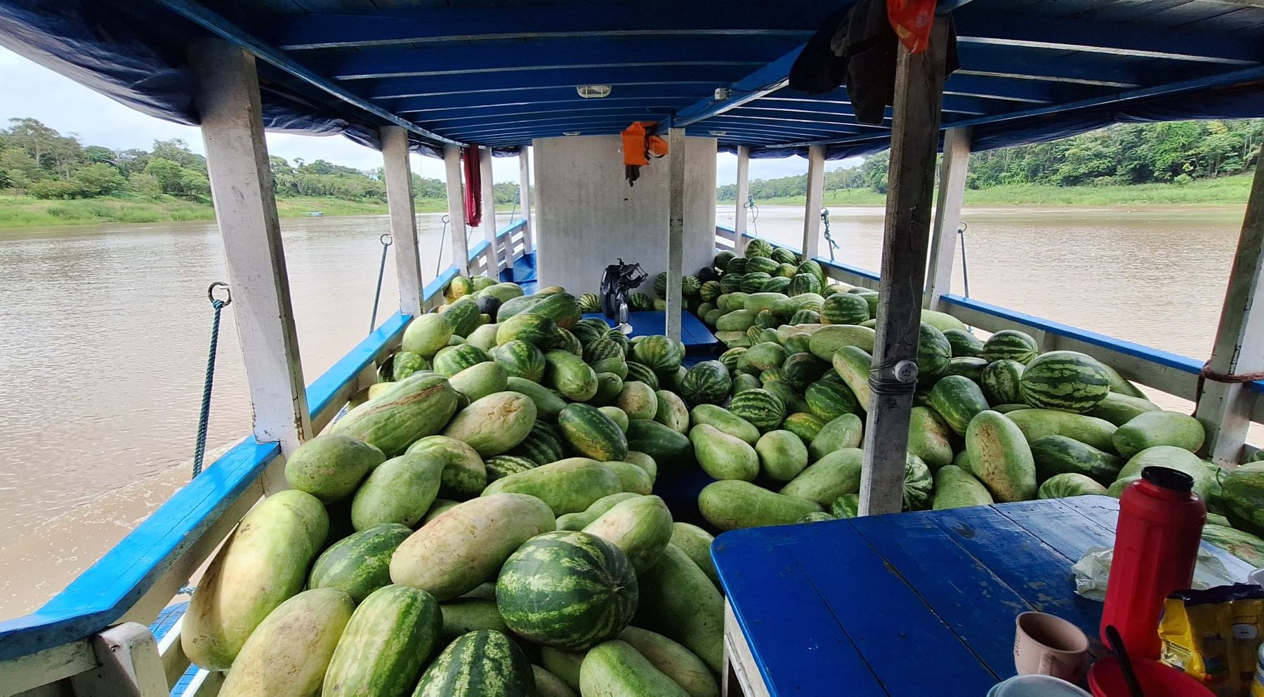 Carga de melancias levada pelo Rio Solimões para Tefé: abundância de alimentos produzidos na Floresta Amazônica (Foto: Paulo Araújo)