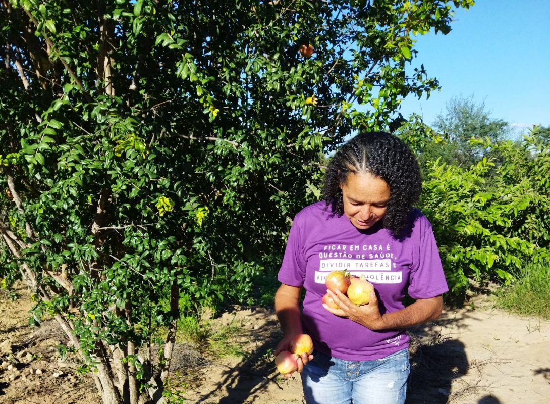 Vaneide Braga e frutas de sua lavoura em Casa Nova: líder comunitária teme que eólicas sejam repetição de história da barragem de Sobradinho