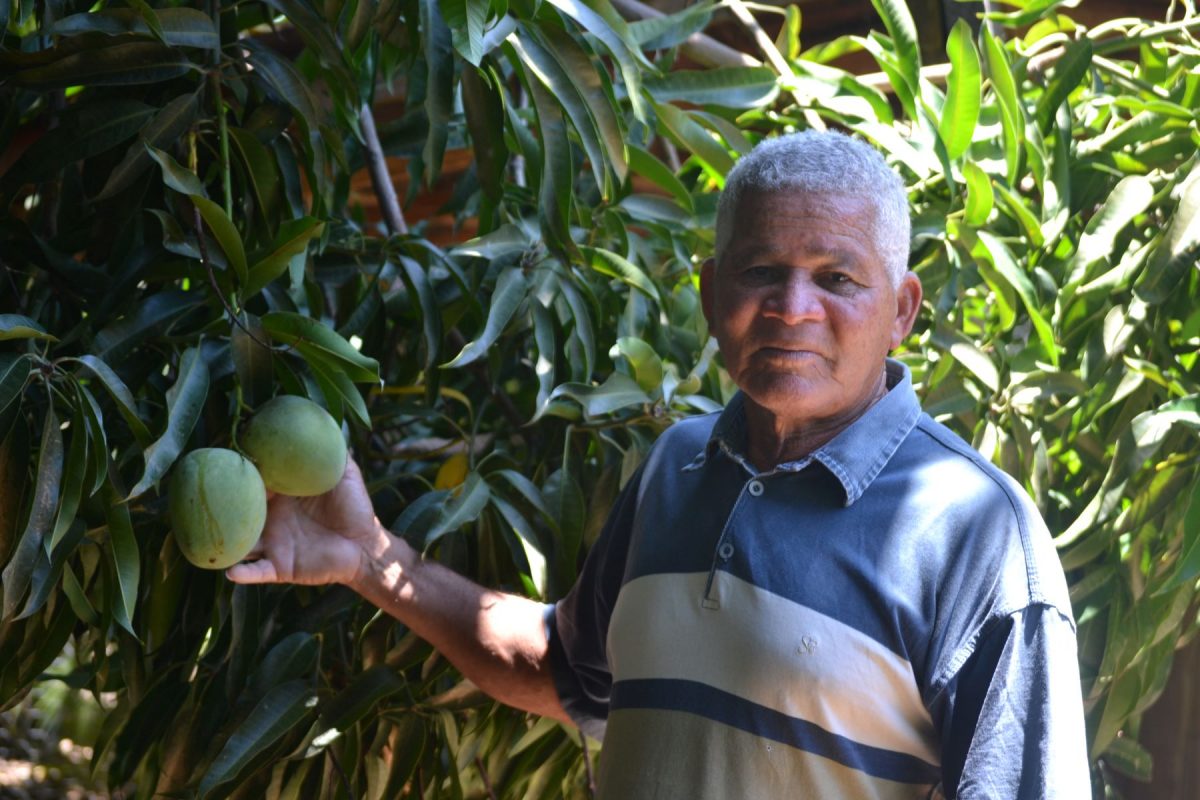 O agricultor Carlos Branco em sua plantação em Limoeiro, umas das 12 comunidades tradicionais em Sento Sé ameaçadas pela atividade mineradora: “Eles vieram, demarcaram tudo, mapearam. Nunca agiram como se aqui tivesse dono" (Foto: Nathallia Fonseca)