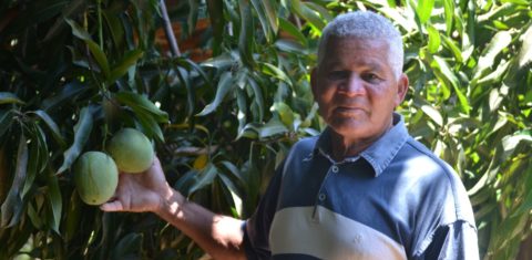 O agricultor Carlos Branco em sua plantação em Limoeiro, umas das 12 comunidades tradicionais em Sento Sé ameaçadas pela atividade mineradora: “Eles vieram, demarcaram tudo, mapearam. Nunca agiram como se aqui tivesse dono" (Foto: Nathallia Fonseca)