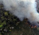 Após recorde: Amazônia registra menor área queimada de série histórica em 2025