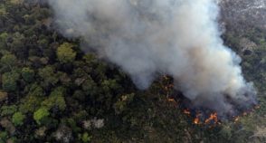 Após recorde: Amazônia registra menor área queimada de série histórica em 2025